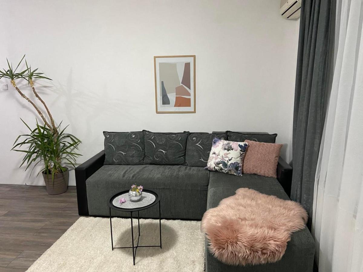 Apartman Aleksic Jagodina Exterior foto